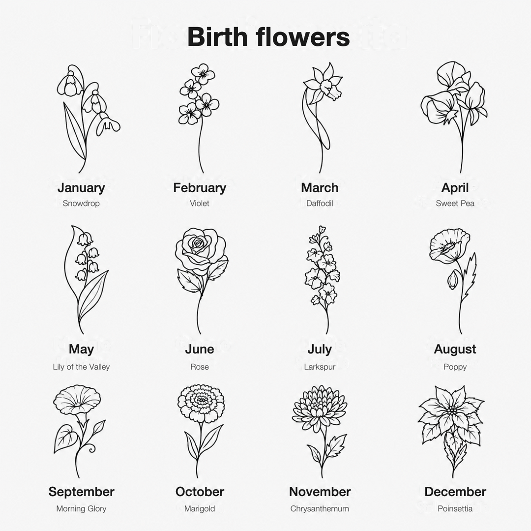 Birth flower guide showing the flower for each month